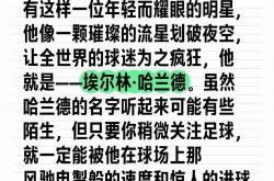开云体育官网-欧洲豪门或放弃哈兰德追逐法国新星