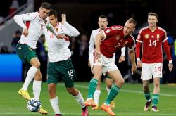 开云平台-欧预赛保加利亚客场大获全胜，小组出线盼望涌现的简单介绍