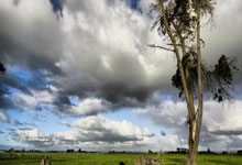 开云体育在线-中国女足在比赛中彰显了中国体育的潜力