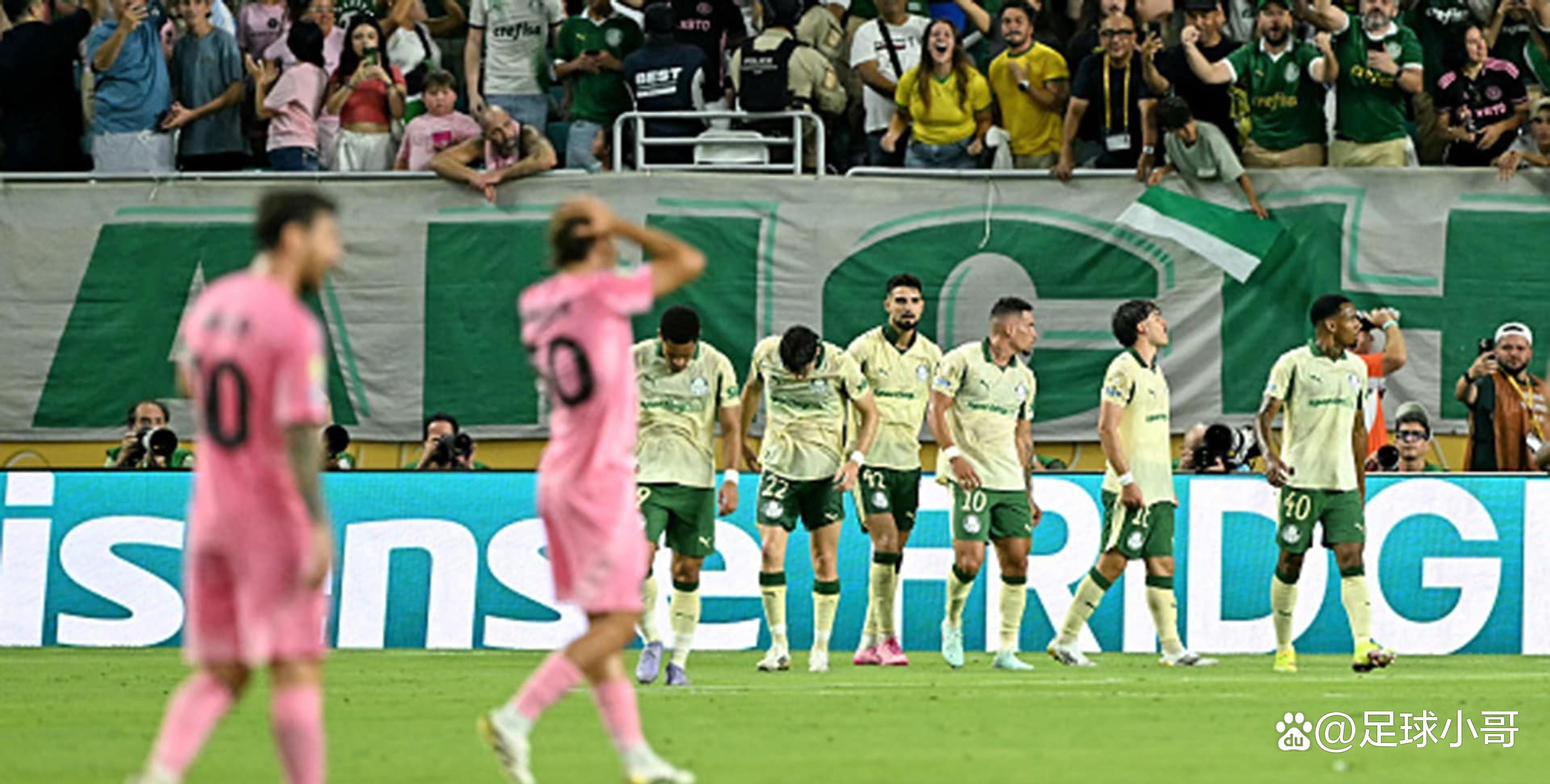 巴西排球队夺冠，队员欢呼雀跃