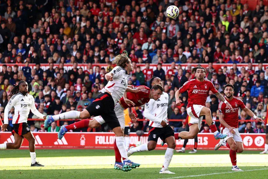 狼队客场逼平布莱顿,保持不败势头的简单介绍 狼队客场逼平布莱顿,保持不败势头的简单介绍