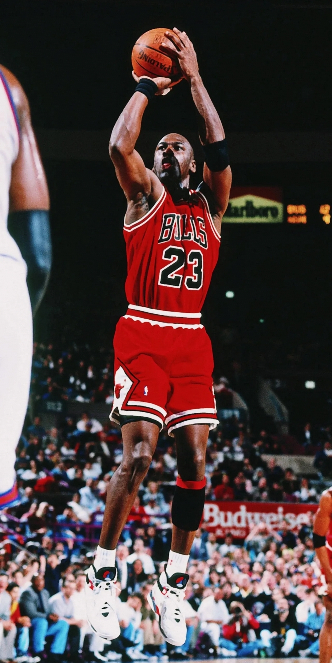 包含奇才横扫篮网B队,詹姆斯爆发神勇的词条 包含奇才横扫篮网B队,詹姆斯爆发神勇的词条