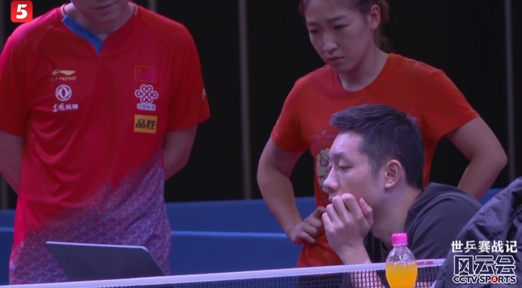 法国队绝杀德国队，马琳关键制胜的简单介绍