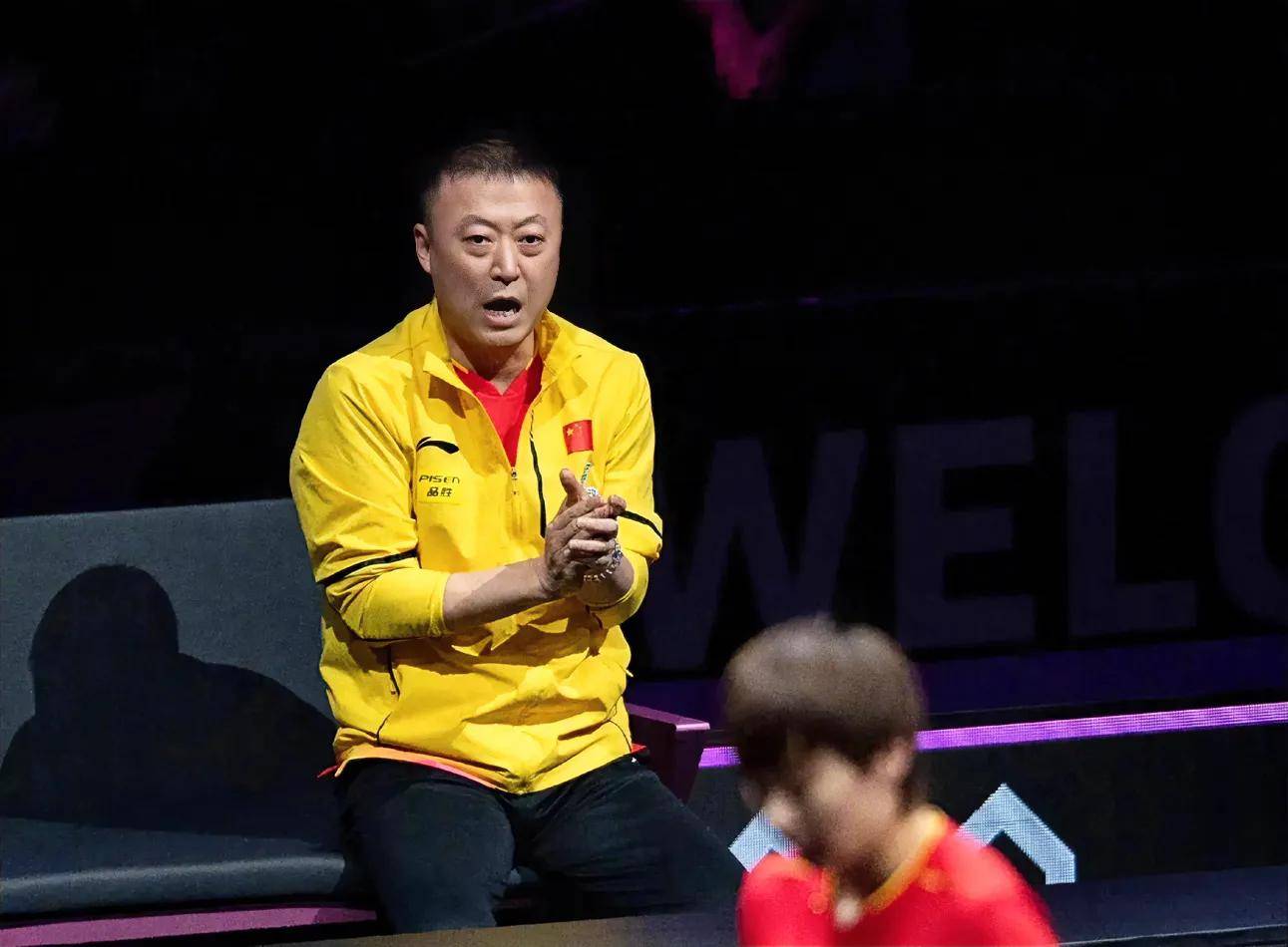 法国队绝杀德国队，马琳关键制胜的简单介绍