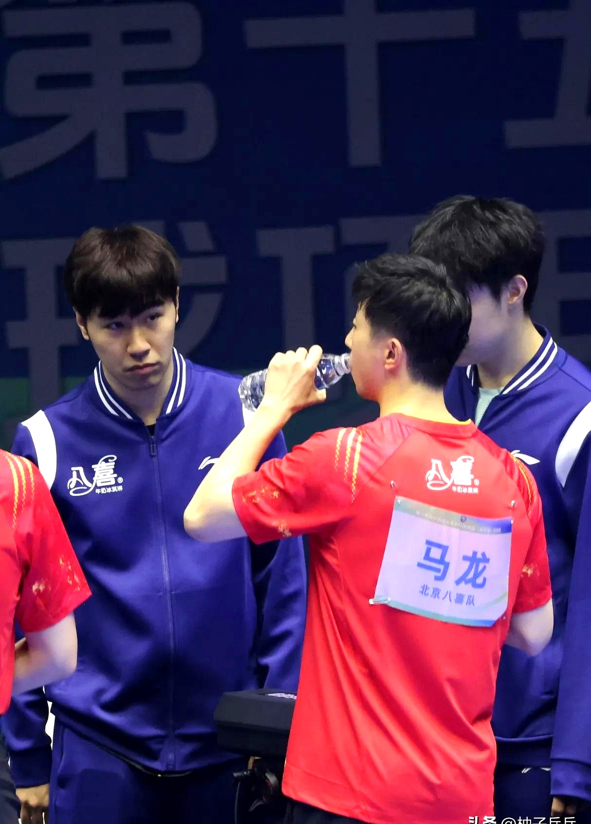 关于日本队完胜德国队，马龙惊艳四座的信息